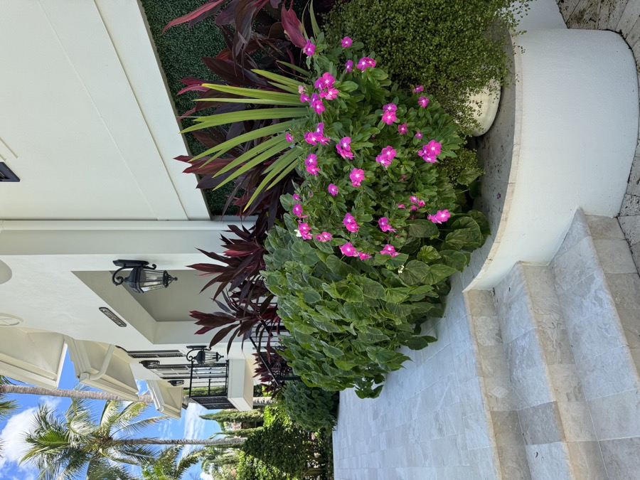 Luxury Porch Styling