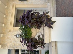 Porch Design 1
